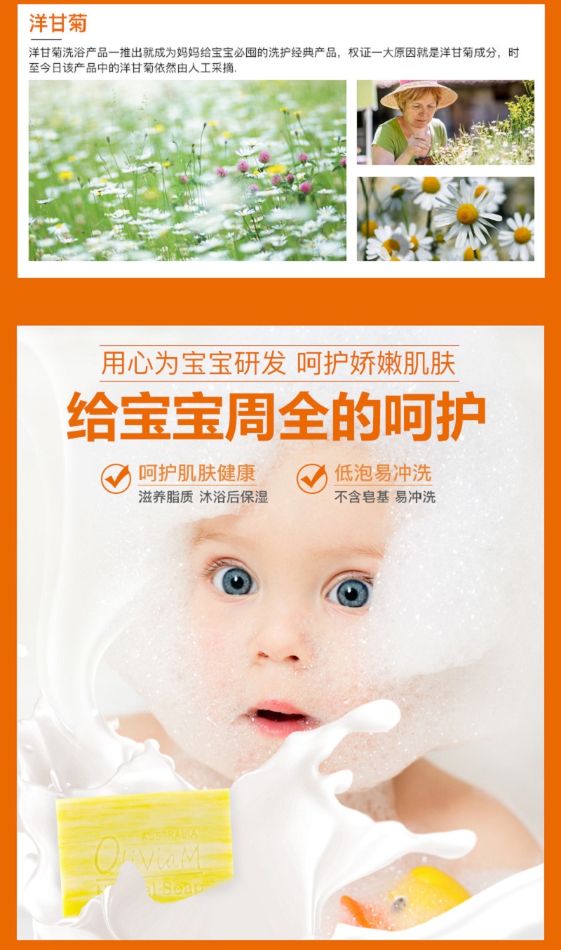 洋甘菊_04.jpg