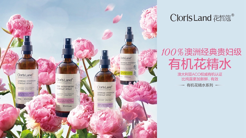 花皙蔻 花皙蔻
