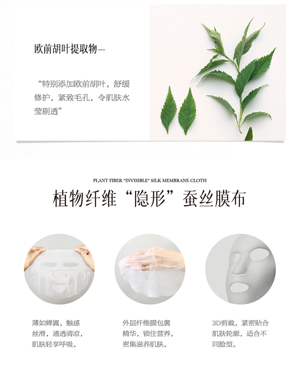 0913绿茶内页(曲)-01_05.jpg