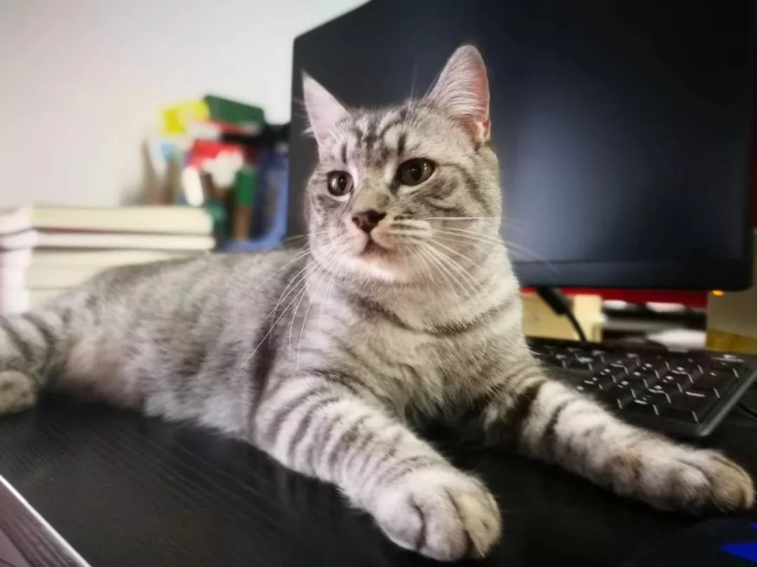 1540783068787799.jpg 未命名_副本.jpg