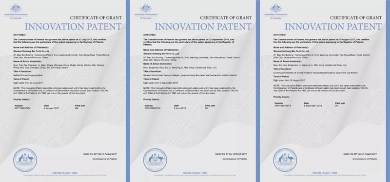 2.webp.jpg