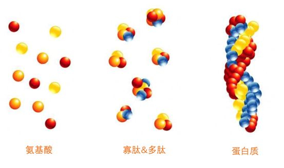 1544185653258425.jpg 未命名_副本.jpg