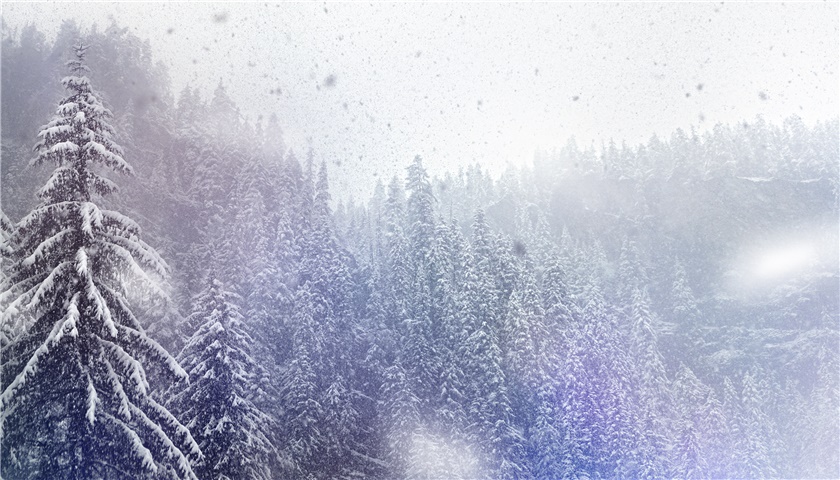 1544758946572761.jpg 154339392674759300.jpg
