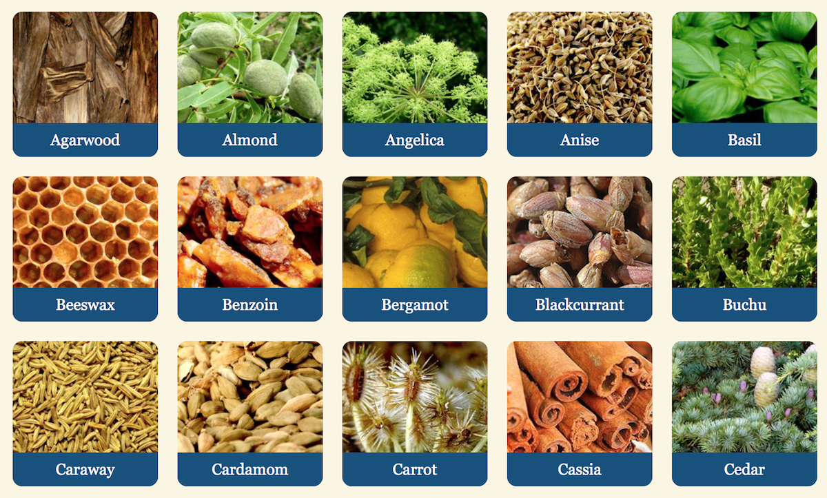 1545029692196690.png 1545029692196690.png