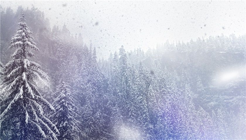 1544759254101519.jpg@85q_1wh.jpg