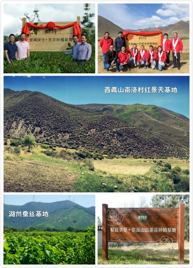 未命名_副本.jpg