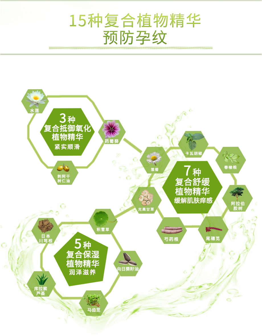 2019积雪草920_05.jpg