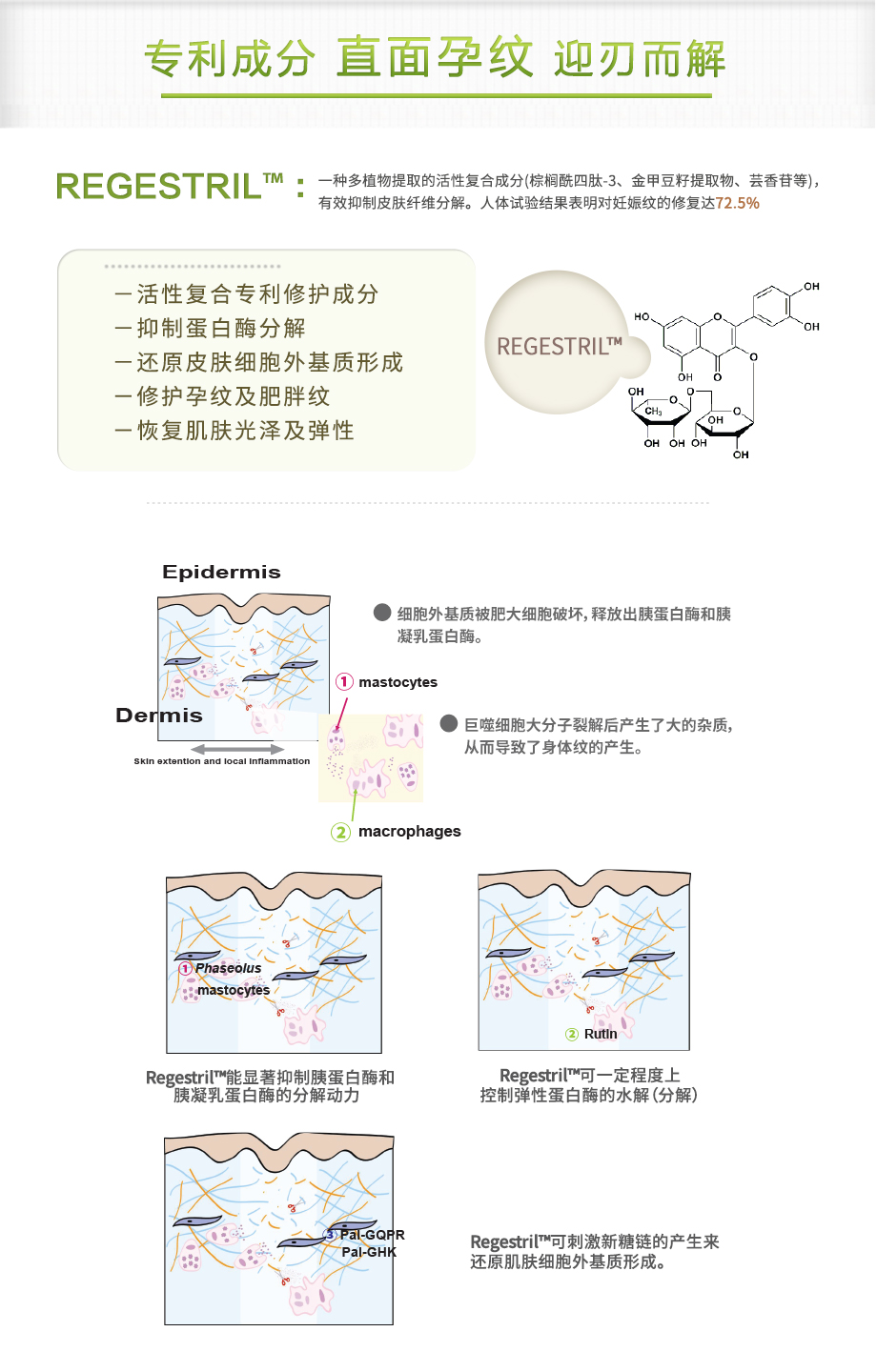 2019瑞吉斯蒂920_06.jpg