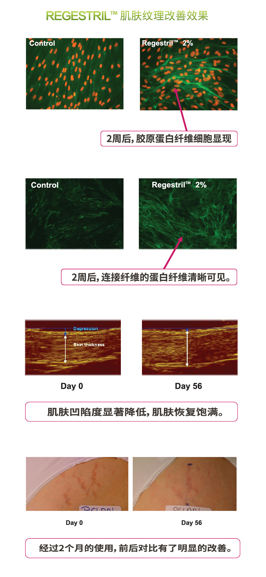 2019瑞吉斯蒂920_07.jpg