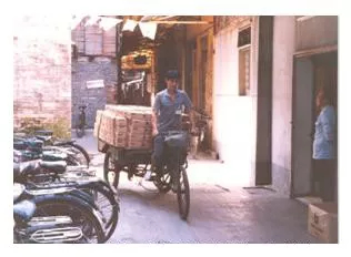 未命名_副本.jpg