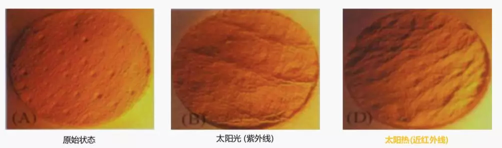 1551064879321196.jpg 未命名_副本.jpg