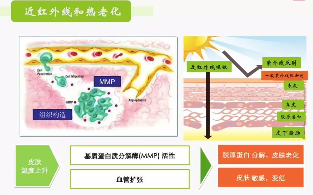 1551064897790209.jpg 未命名_副本.jpg