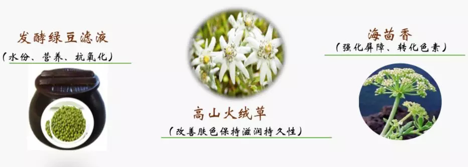 1551064942774791.jpg 未命名_副本.jpg