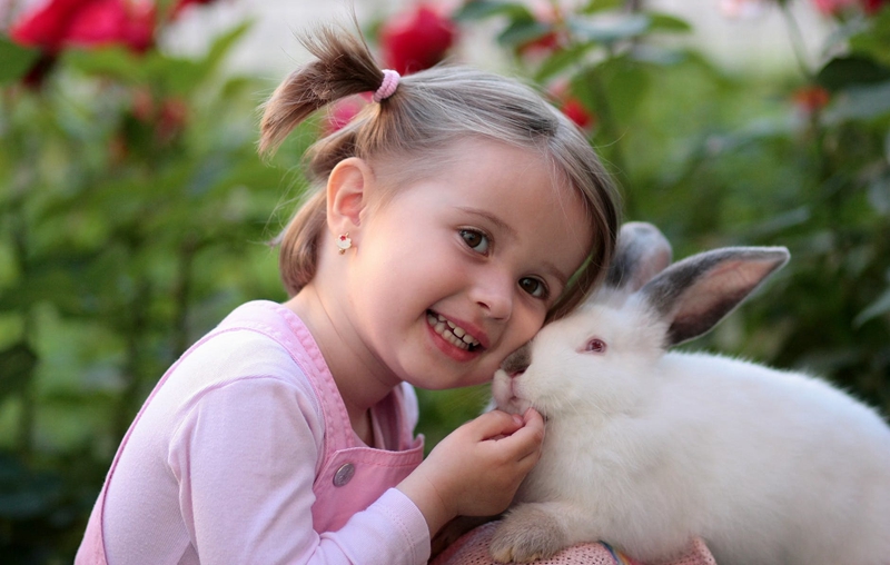 1551091622477893.jpg girl-rabbit-friendship-love-160933_副本.jpg