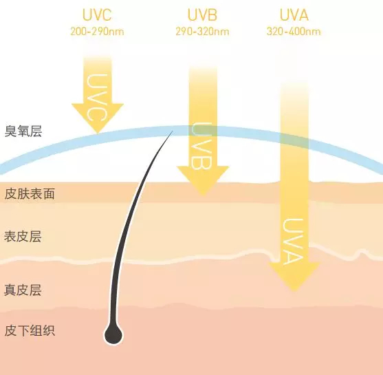 1557458746406461.jpg 未命名_副本.jpg