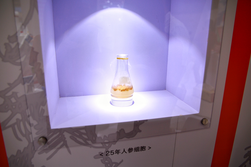 4_副本.jpg