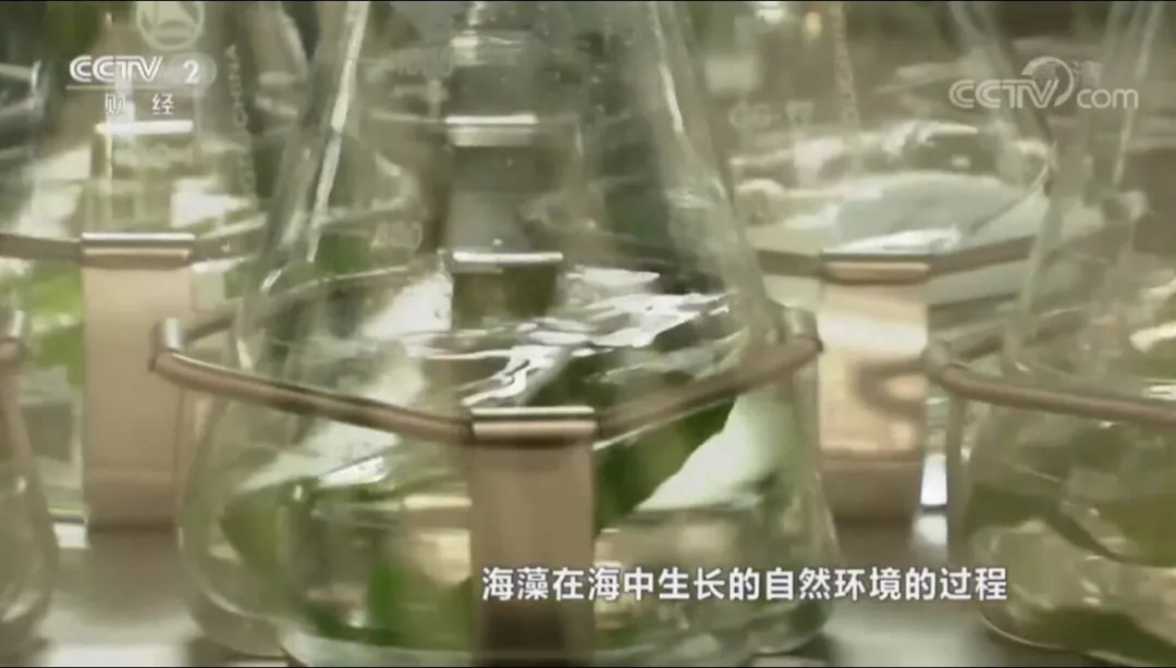 1560170751472979.jpg 未命名_副本.jpg