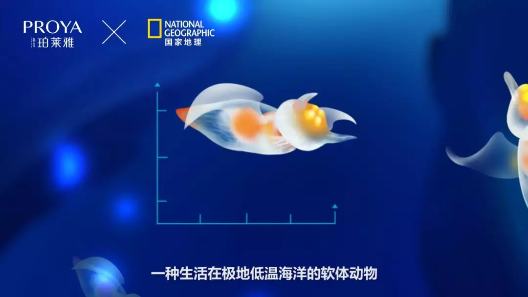 1561000299302322.jpg 未命名_副本.jpg