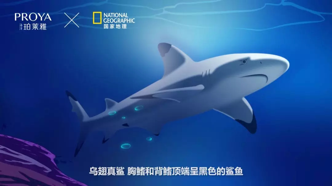1561000350957473.jpg 未命名_副本.jpg