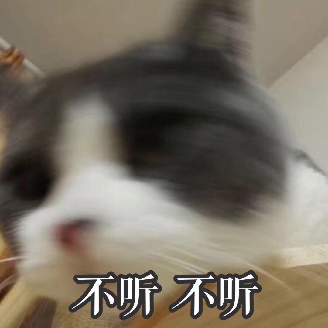 1561447025590058.jpg 1561447025590058.jpg