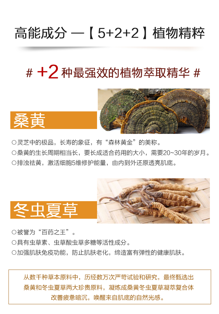桑黄系列_05.jpg