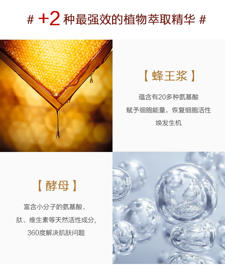 桑黄系列_06.jpg