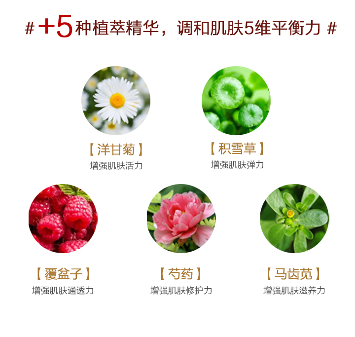 桑黄系列_07.jpg