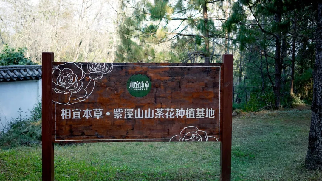 1571719513427453.jpg 未命名_副本.jpg