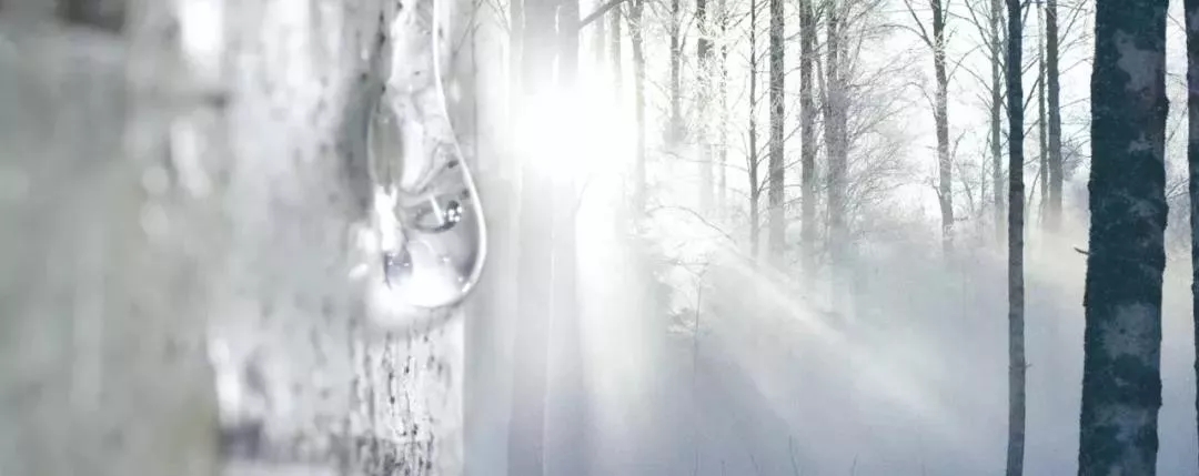 1575268409452204.jpg 3.webp.jpg