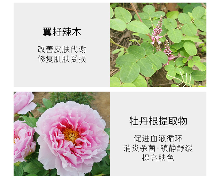迹养精华详情最终_13.jpg