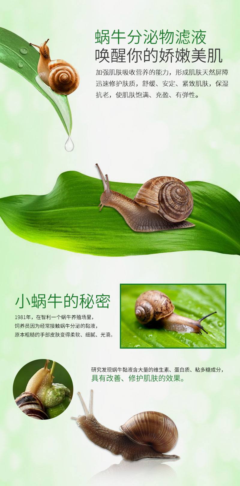 芦荟蜗牛舒缓保湿凝胶（175ml）_04.jpg