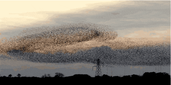 b219ebc4b74543a9e1af419813178a82b9011429.gif