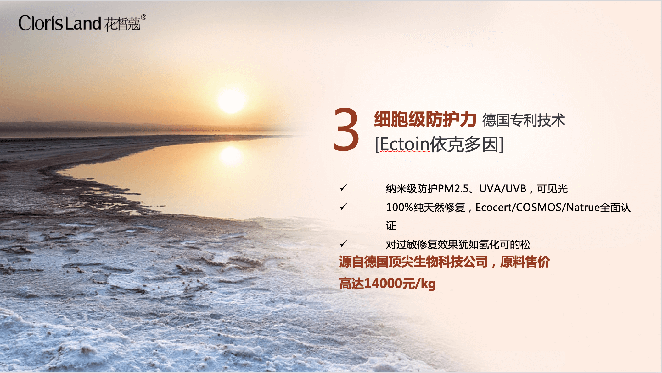 积雪草04.png