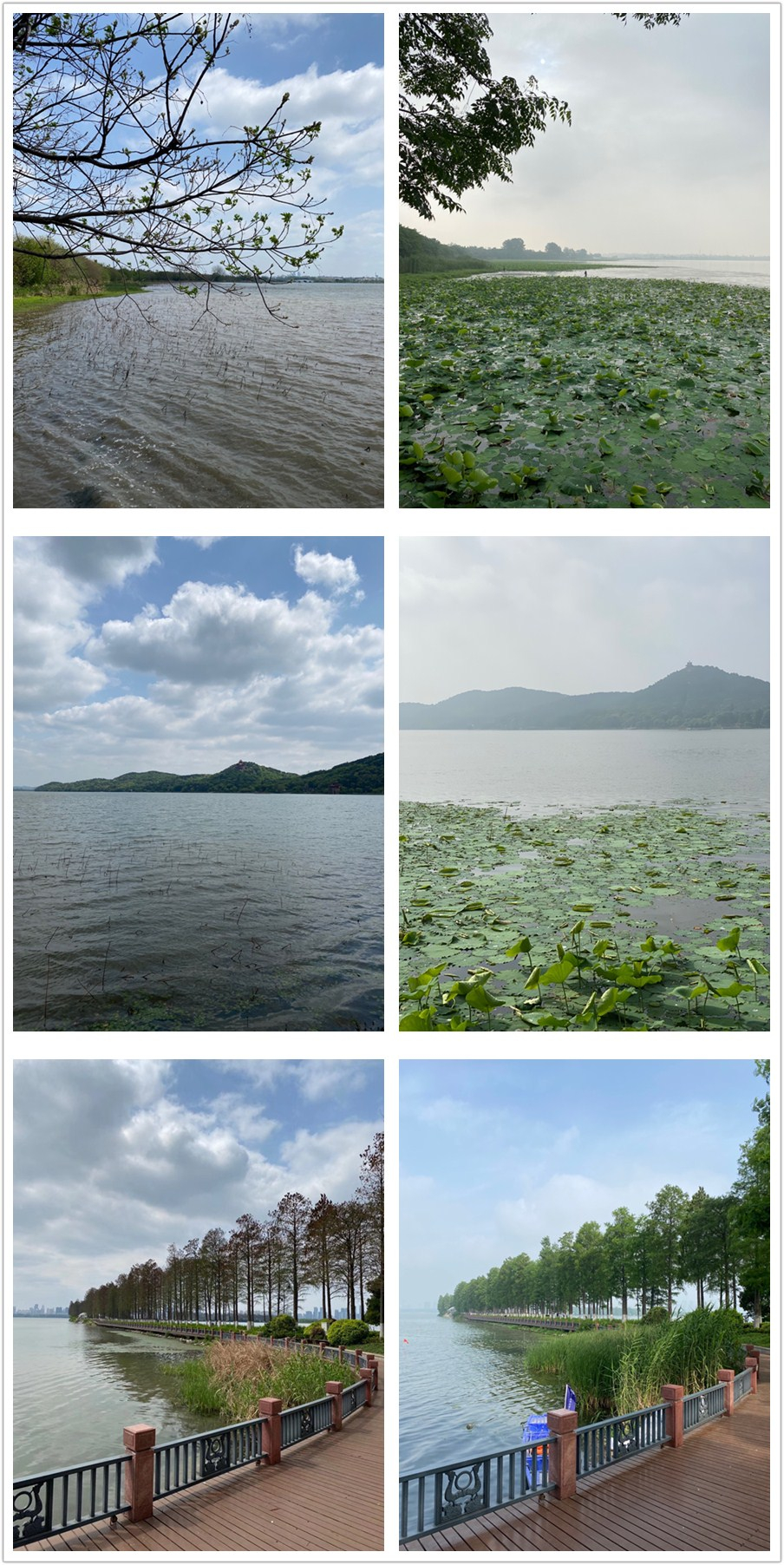 1589722243721206.jpg initpintu_副本.jpg