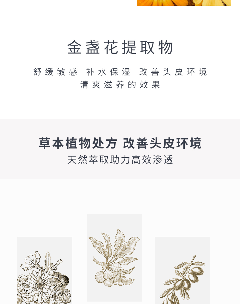 PF樱花_11.jpg