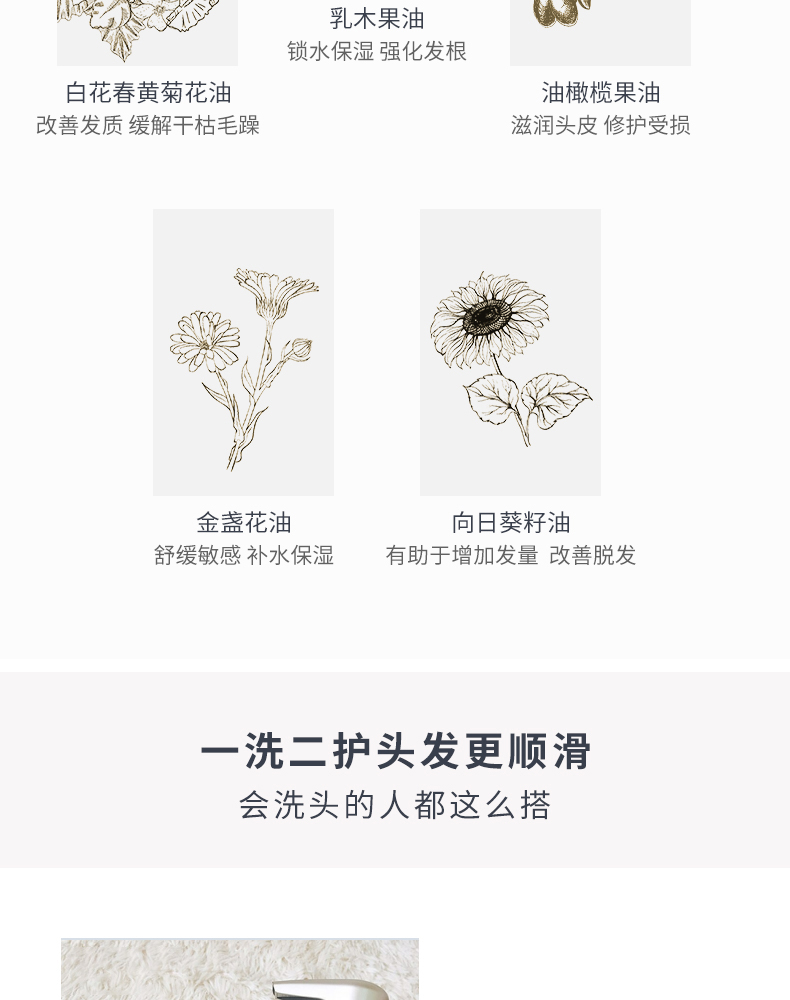 PF樱花_12.jpg