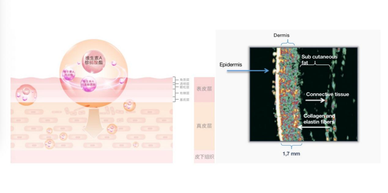 1601438764395067.png 图片3.png