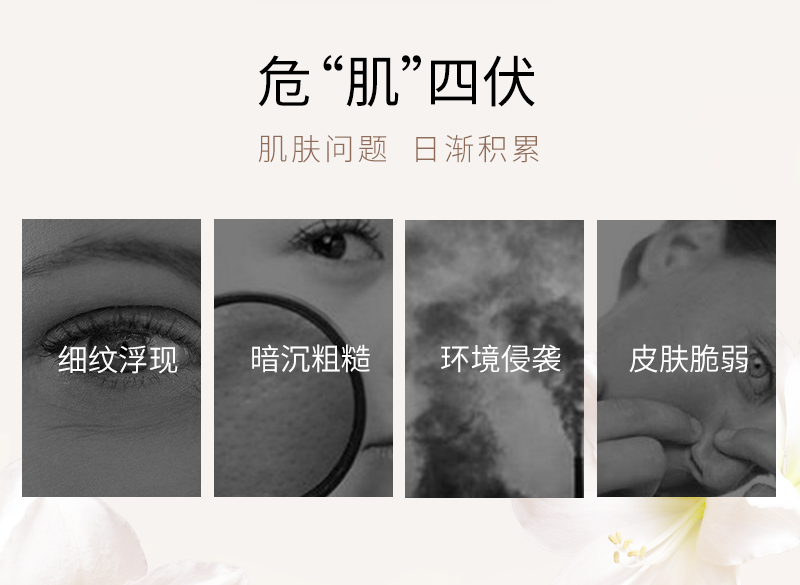 三姐妹组合详情_03.jpg