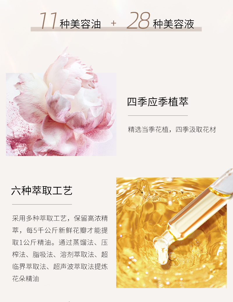 三姐妹组合详情_05.jpg