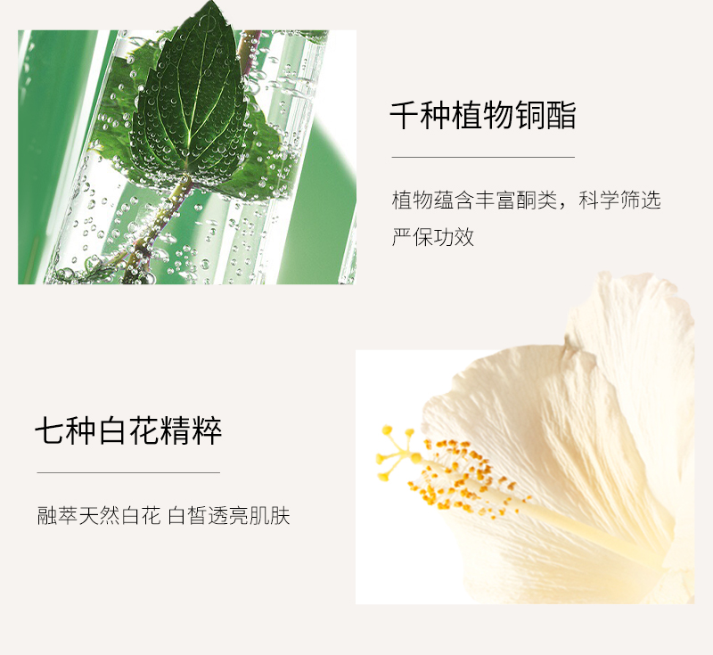 三姐妹组合详情_06.jpg