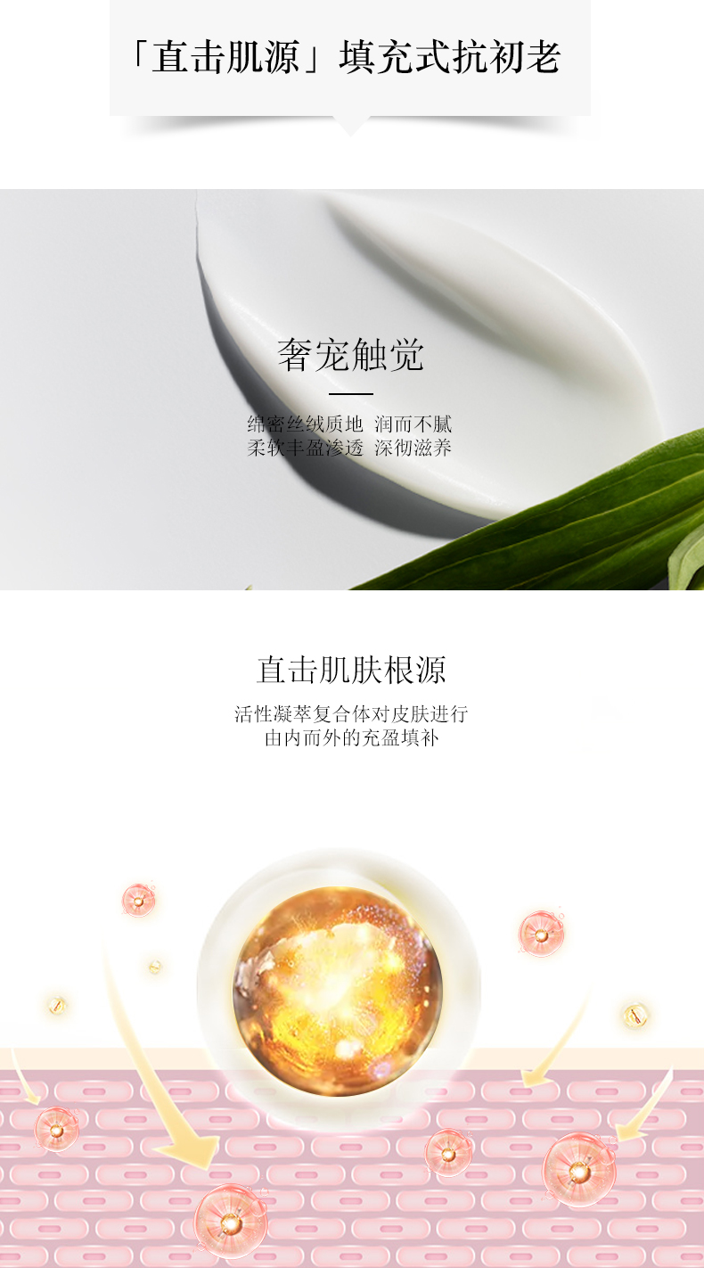 赋活紧致日霜 (3).jpg