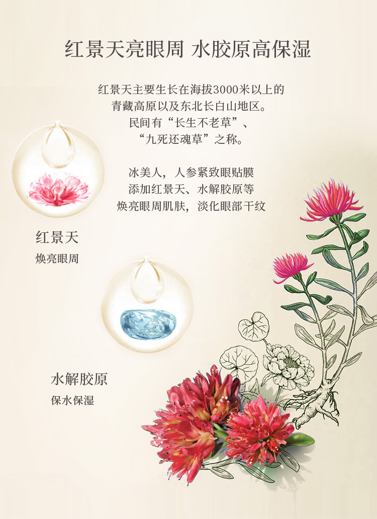 眼膜详情_06.jpg