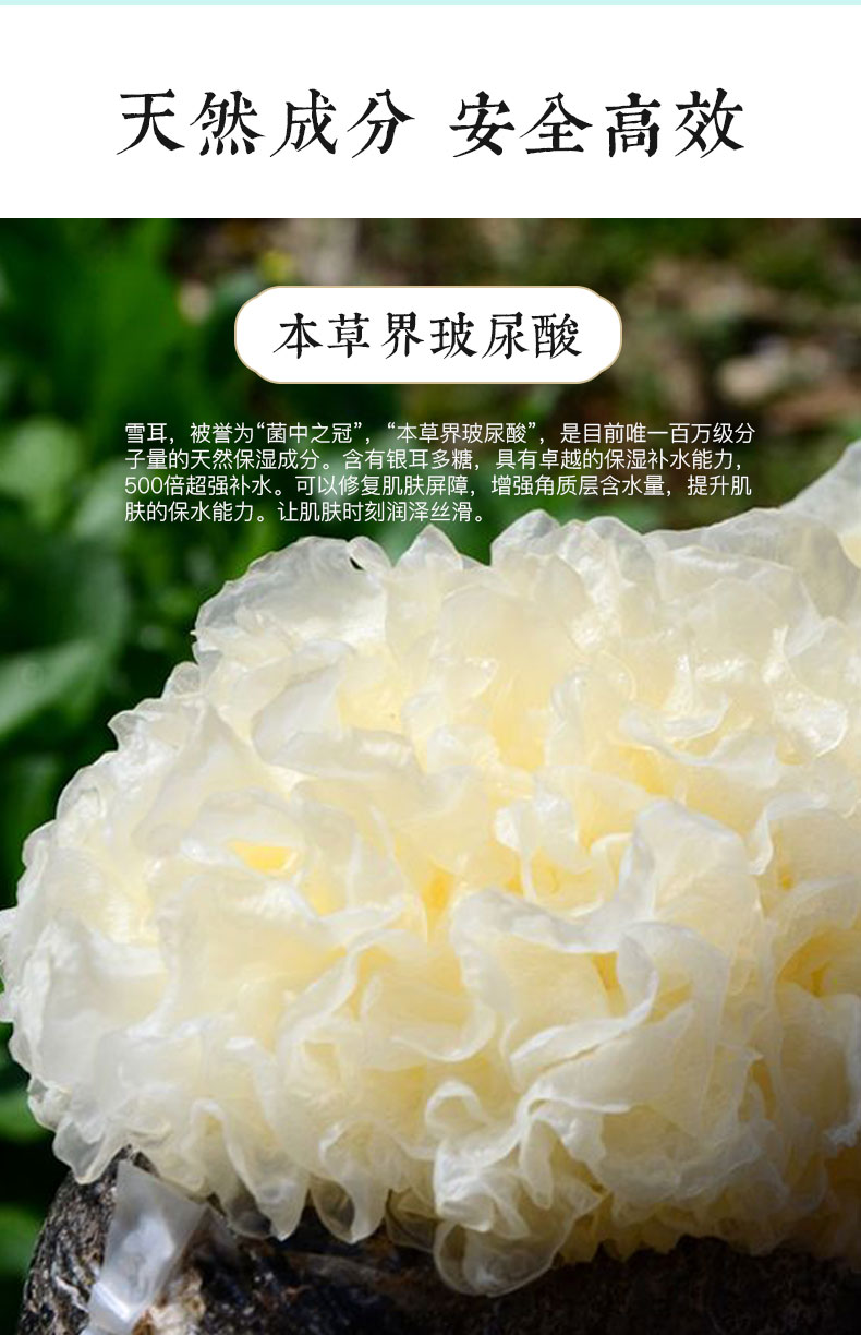 雪耳详情_06.jpg