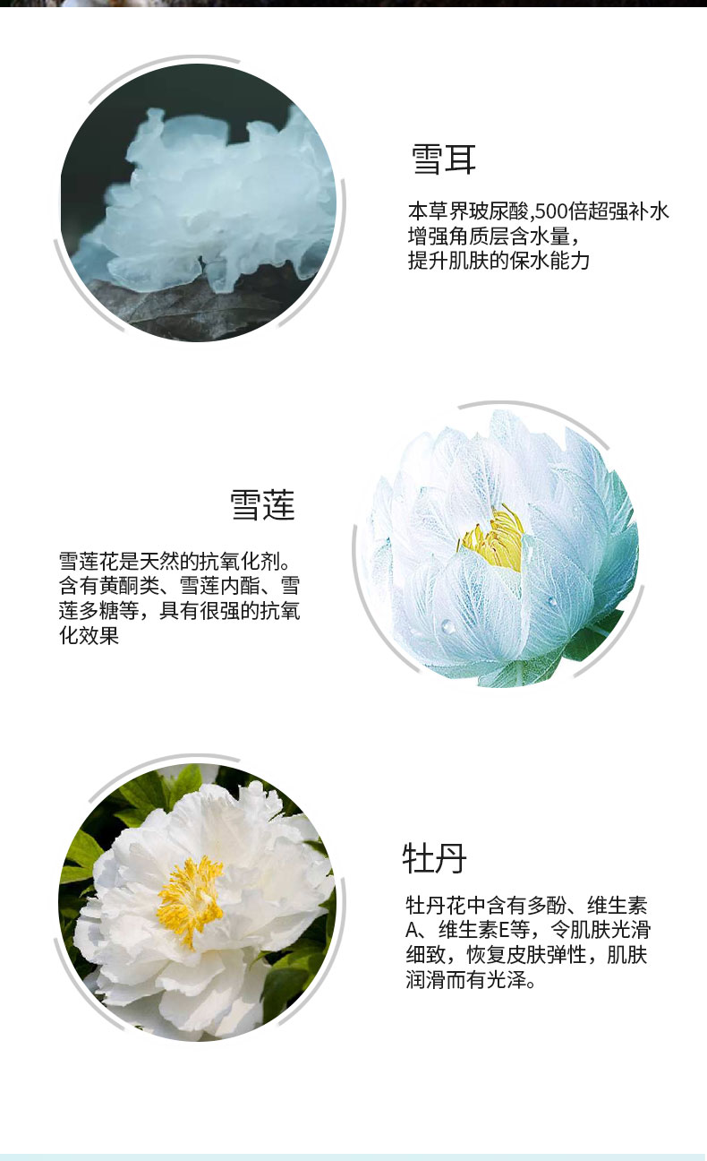 雪耳详情_07.jpg