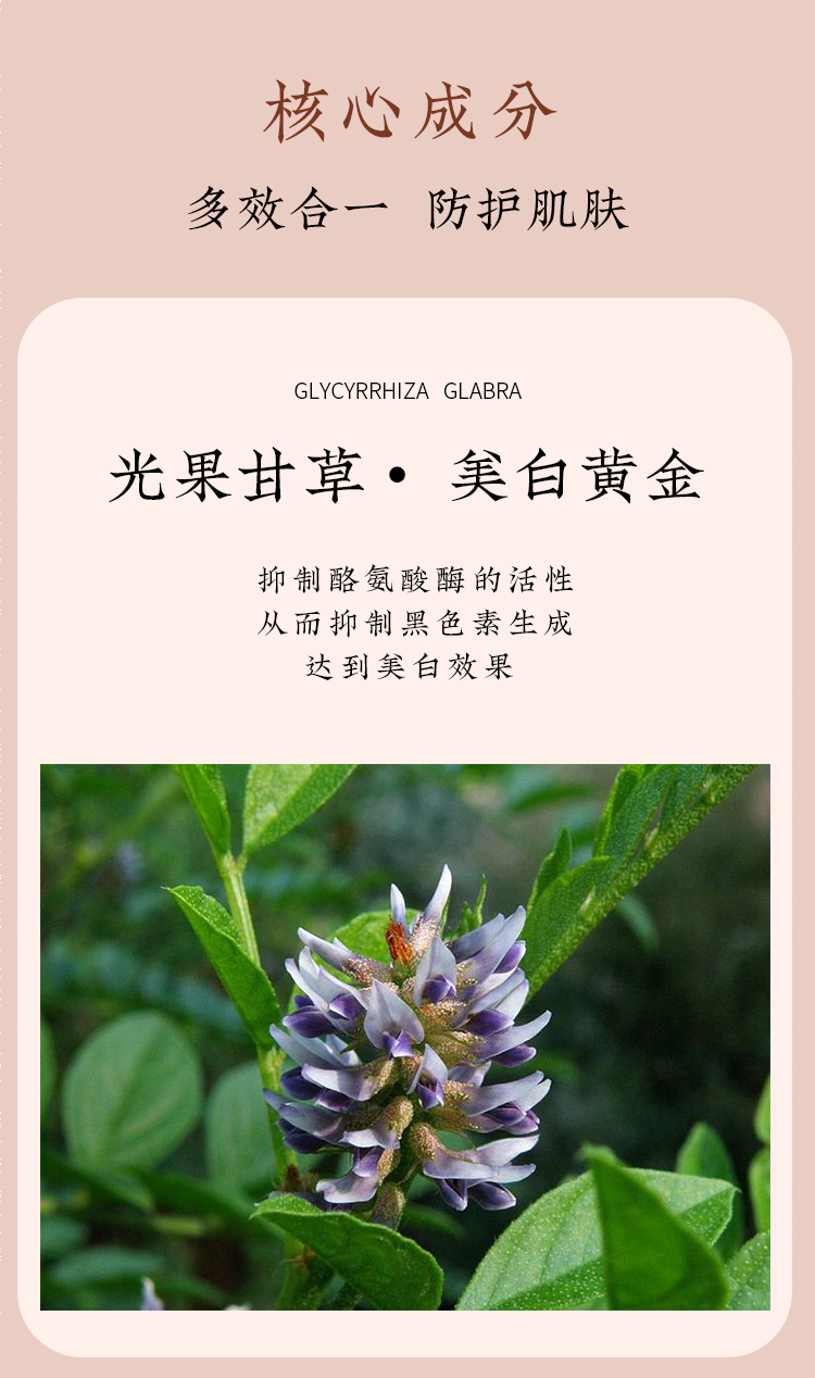 防晒详情_07.jpg