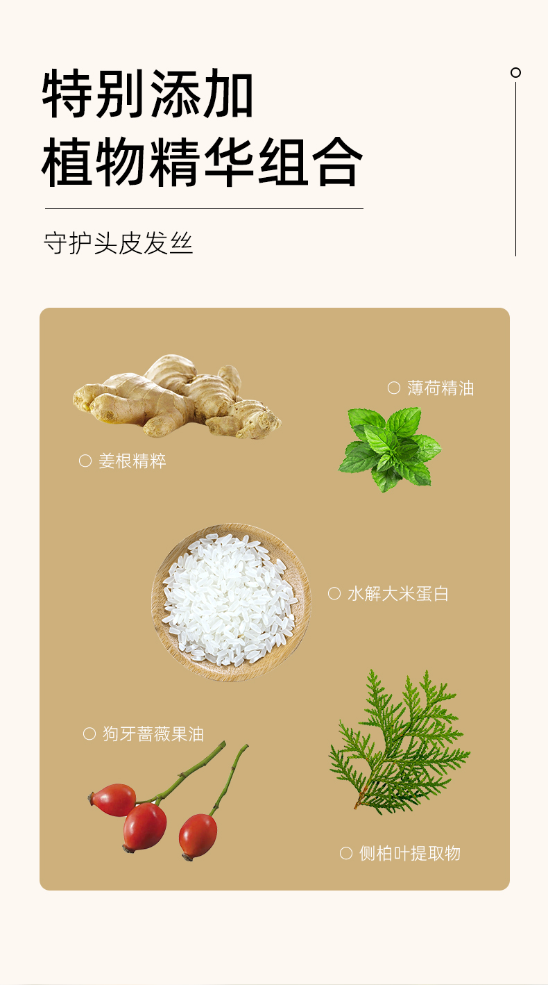 头皮磨砂膏详情_04.jpg