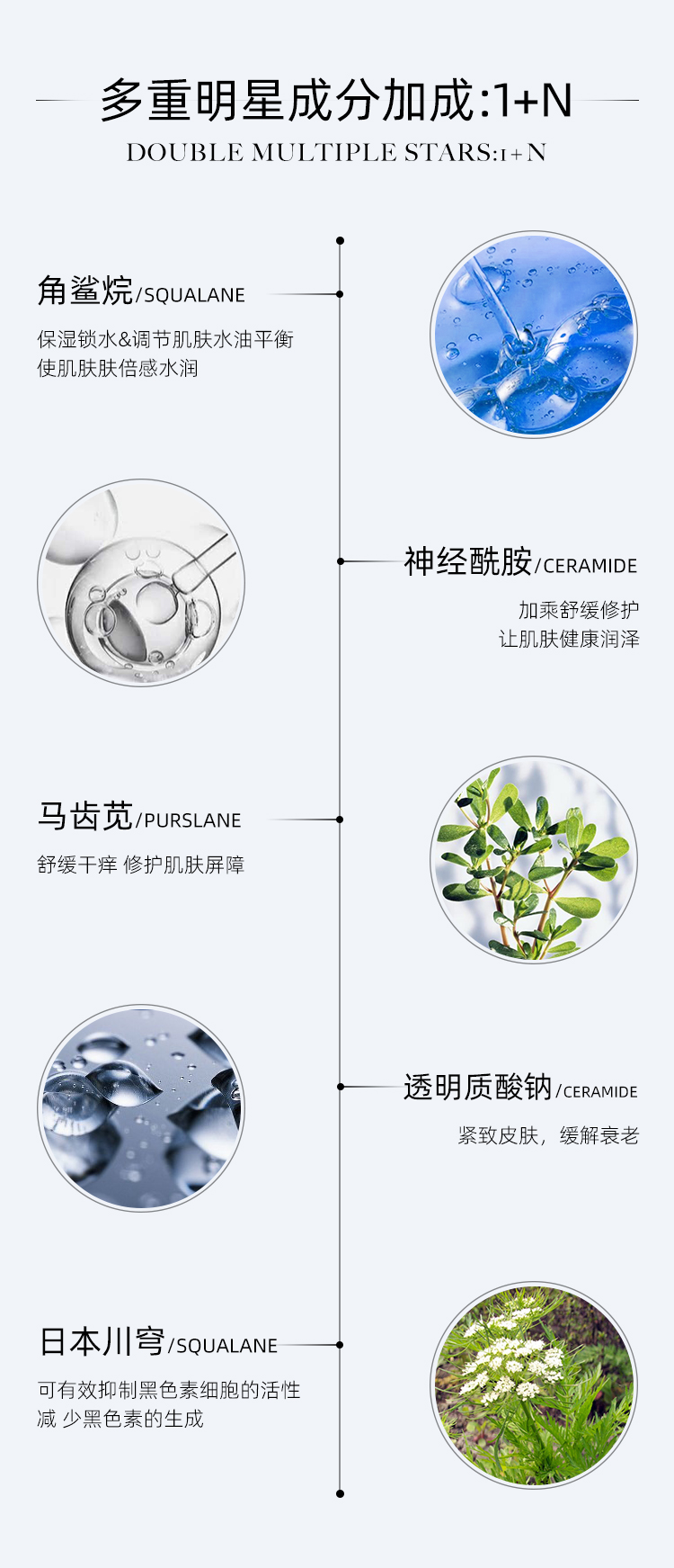 再生霜详情1_05.jpg