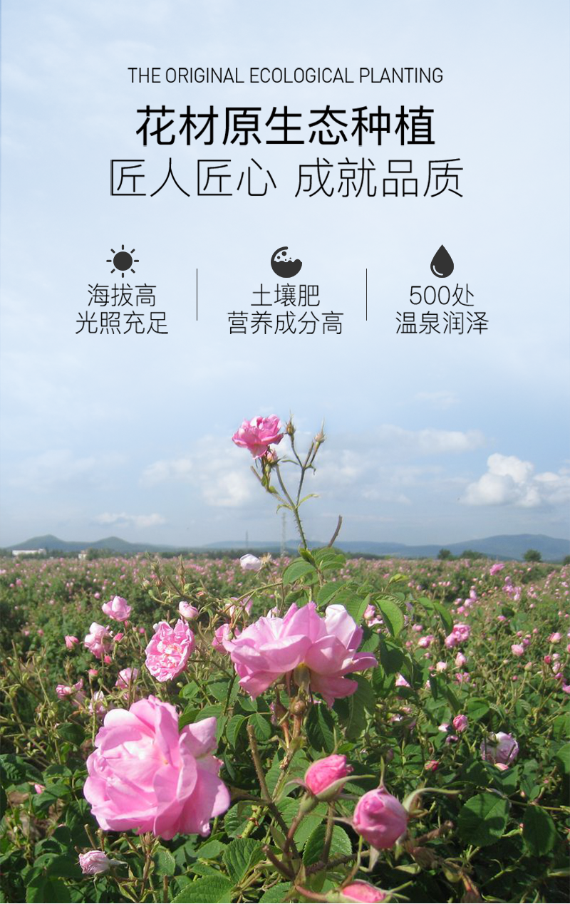 0726玫瑰喷雾详情页_06.png