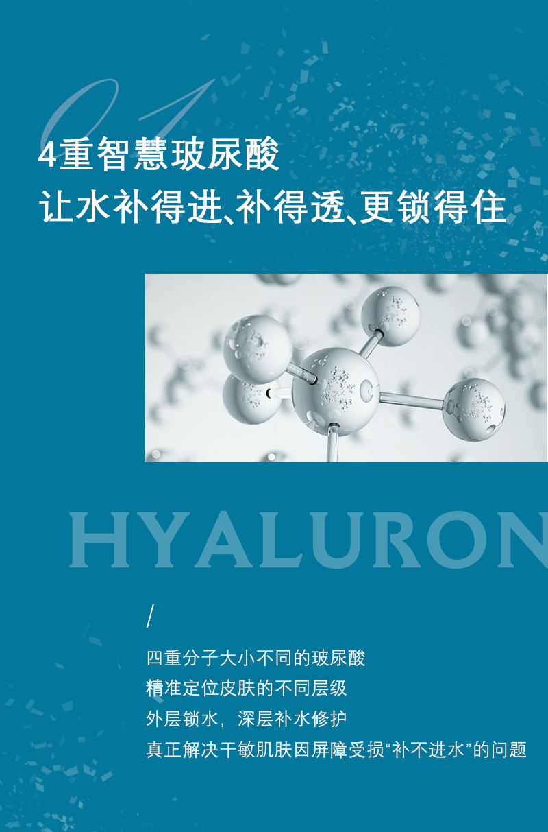神经酰胺_04.png