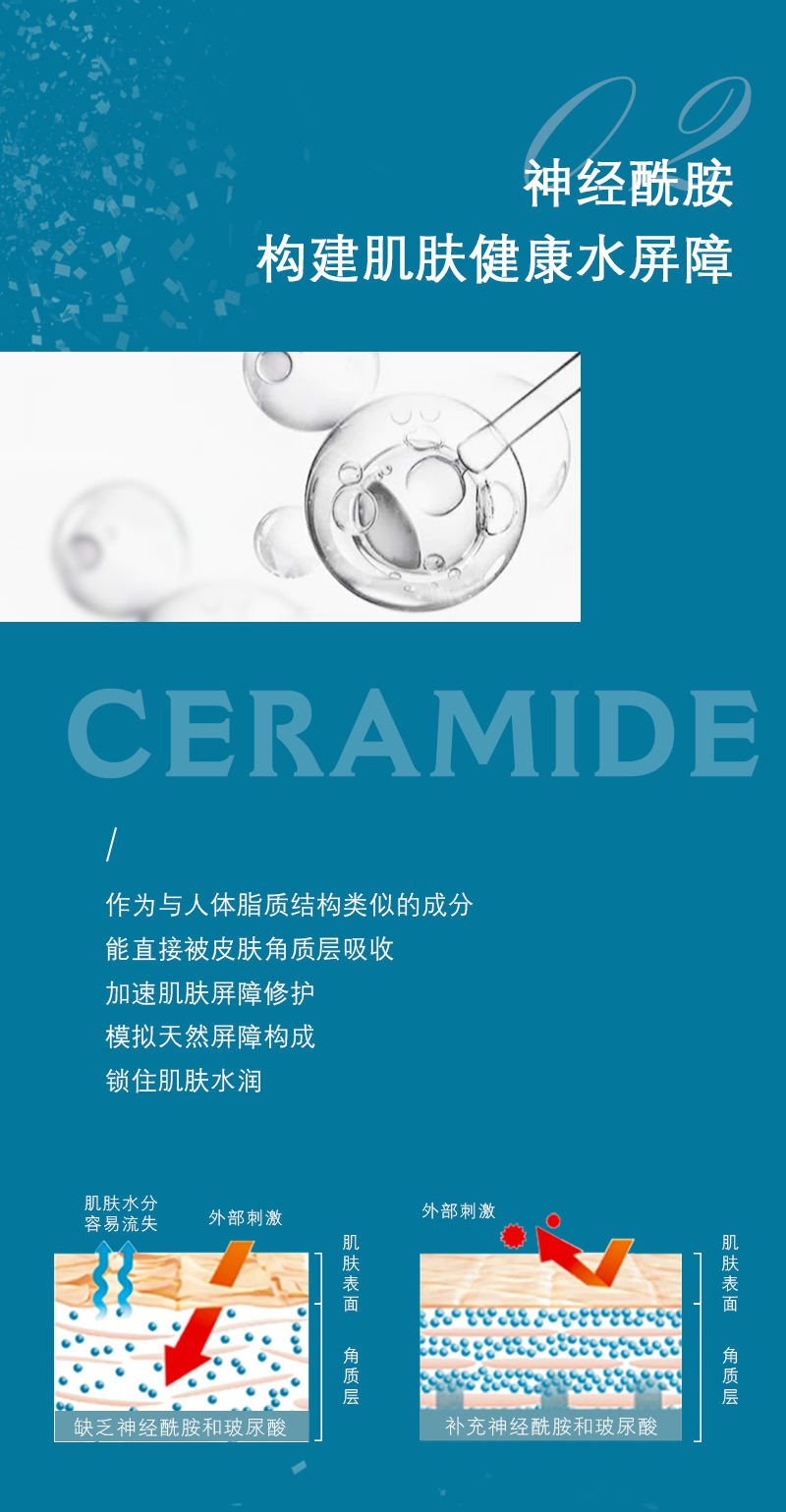 神经酰胺_05.png